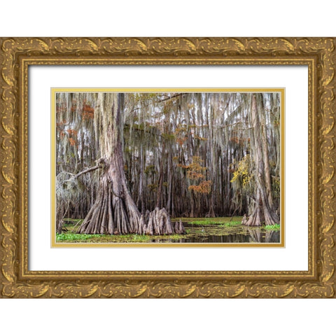 On the Bayou III Gold Ornate Wood Framed Art Print with Double Matting by Head, Danny