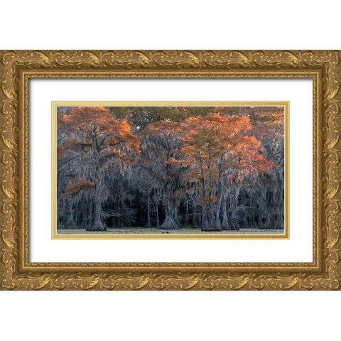 Sun Kissed Gold Ornate Wood Framed Art Print with Double Matting by Head, Danny
