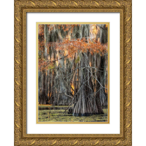 On the Bayou V Gold Ornate Wood Framed Art Print with Double Matting by Head, Danny