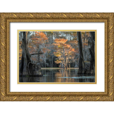 Soft Light Gold Ornate Wood Framed Art Print with Double Matting by Head, Danny