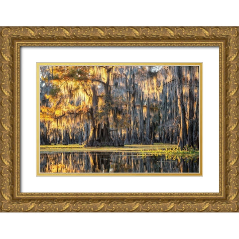Bayou Dawning Gold Ornate Wood Framed Art Print with Double Matting by Head, Danny