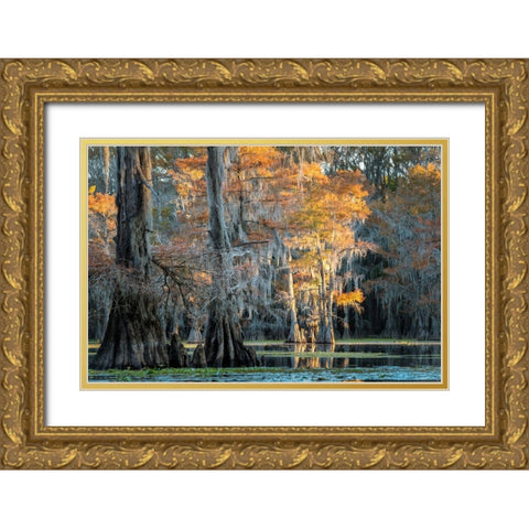 Soft Light II Gold Ornate Wood Framed Art Print with Double Matting by Head, Danny