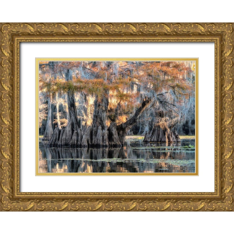 Bayou Morning Gold Ornate Wood Framed Art Print with Double Matting by Head, Danny