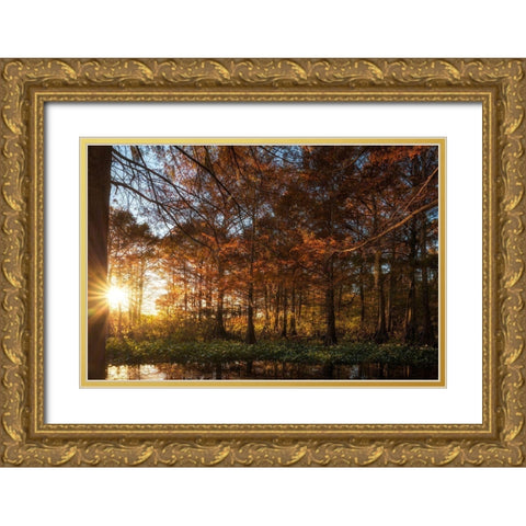 Last Light Gold Ornate Wood Framed Art Print with Double Matting by Head, Danny