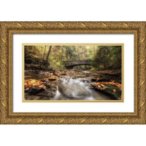 The Arch in Autumn Gold Ornate Wood Framed Art Print with Double Matting by Head, Danny