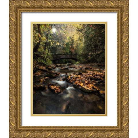 Shine On Gold Ornate Wood Framed Art Print with Double Matting by Head, Danny
