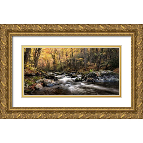 Morning Glow Gold Ornate Wood Framed Art Print with Double Matting by Head, Danny