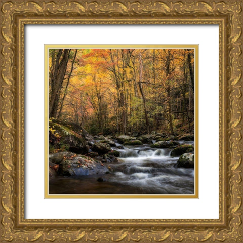 Golden Glow Gold Ornate Wood Framed Art Print with Double Matting by Head, Danny
