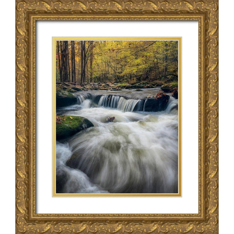 In Deep Gold Ornate Wood Framed Art Print with Double Matting by Head, Danny
