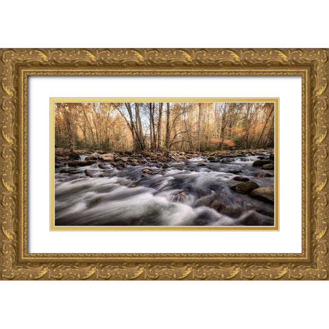 Rivers Fork Gold Ornate Wood Framed Art Print with Double Matting by Head, Danny