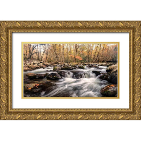 Autumn at Porters Creek Gold Ornate Wood Framed Art Print with Double Matting by Head, Danny