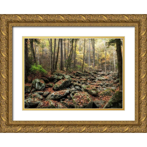 Dry Creek Gold Ornate Wood Framed Art Print with Double Matting by Head, Danny