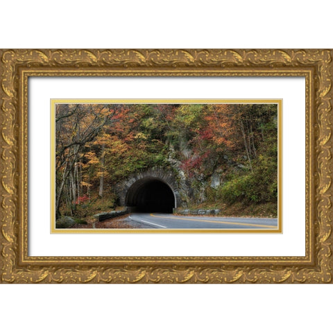 Into the Mountain Gold Ornate Wood Framed Art Print with Double Matting by Head, Danny