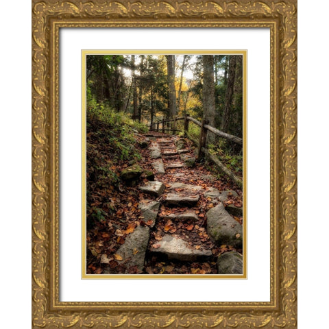 Step It Up Gold Ornate Wood Framed Art Print with Double Matting by Head, Danny