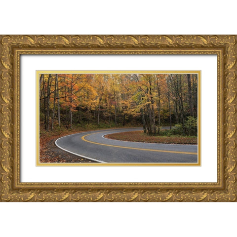 Mountain Loop Gold Ornate Wood Framed Art Print with Double Matting by Head, Danny