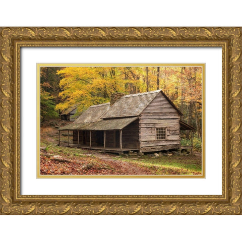 Buds Place Gold Ornate Wood Framed Art Print with Double Matting by Head, Danny