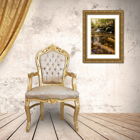 Moving Autumn II Gold Ornate Wood Framed Art Print with Double Matting by Head, Danny