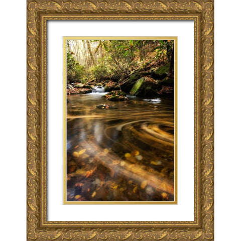 Moving Autumn II Gold Ornate Wood Framed Art Print with Double Matting by Head, Danny