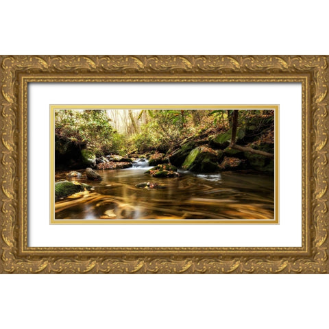 Moving Autumn III Gold Ornate Wood Framed Art Print with Double Matting by Head, Danny