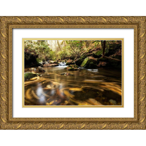 Moving Autumn IV Gold Ornate Wood Framed Art Print with Double Matting by Head, Danny