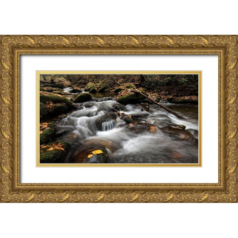 Fallen Leaves II Gold Ornate Wood Framed Art Print with Double Matting by Head, Danny