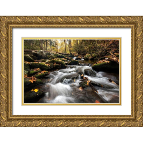 Fallen Leaves III Gold Ornate Wood Framed Art Print with Double Matting by Head, Danny