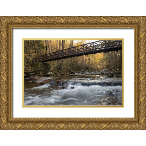 Bridge to Autumn I Gold Ornate Wood Framed Art Print with Double Matting by Head, Danny