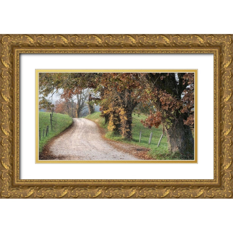 Hyatt Lane II Gold Ornate Wood Framed Art Print with Double Matting by Head, Danny