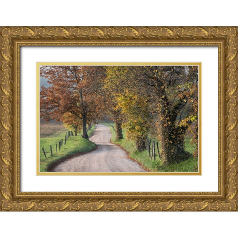 Hyatt Lane III Gold Ornate Wood Framed Art Print with Double Matting by Head, Danny