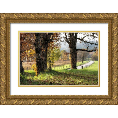 Beside theLane  Gold Ornate Wood Framed Art Print with Double Matting by Head, Danny