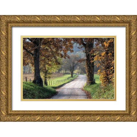 Between the Oaks Gold Ornate Wood Framed Art Print with Double Matting by Head, Danny