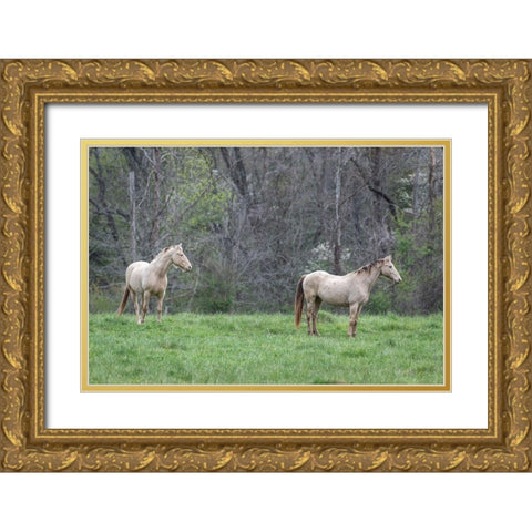 Buddies I Gold Ornate Wood Framed Art Print with Double Matting by Head, Danny