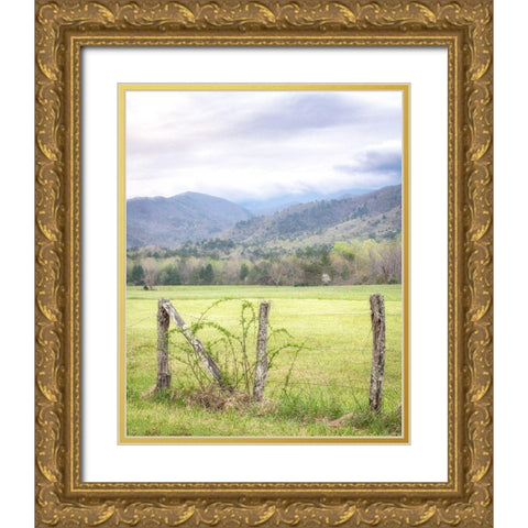 Cove Fence Gold Ornate Wood Framed Art Print with Double Matting by Head, Danny