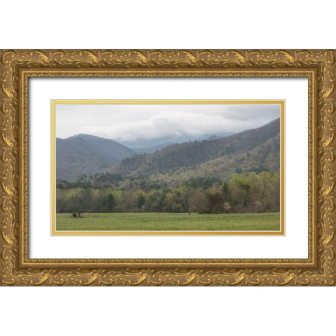 In the Cove Gold Ornate Wood Framed Art Print with Double Matting by Head, Danny