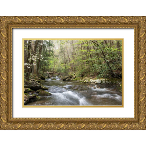 Spring Awakening I Gold Ornate Wood Framed Art Print with Double Matting by Head, Danny