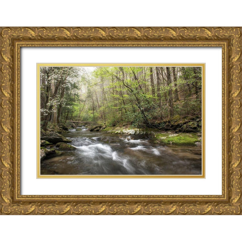 Spring Awakening II Gold Ornate Wood Framed Art Print with Double Matting by Head, Danny