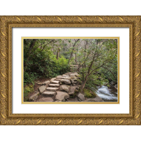 Stone Steps Gold Ornate Wood Framed Art Print with Double Matting by Head, Danny
