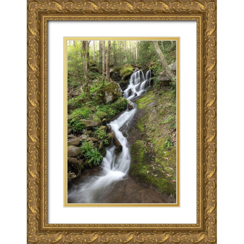 Woven Silk II Gold Ornate Wood Framed Art Print with Double Matting by Head, Danny