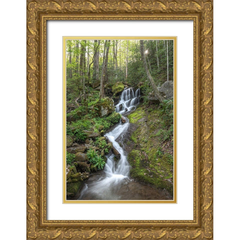 Woven Silk I Gold Ornate Wood Framed Art Print with Double Matting by Head, Danny