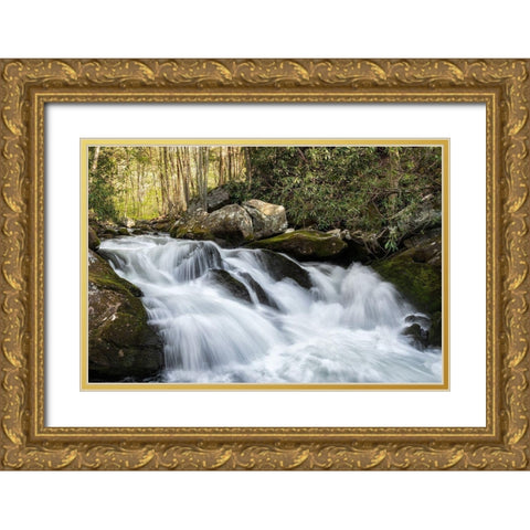 Sudden Drop Gold Ornate Wood Framed Art Print with Double Matting by Head, Danny