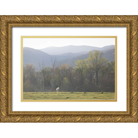 Standing Alone Gold Ornate Wood Framed Art Print with Double Matting by Head, Danny