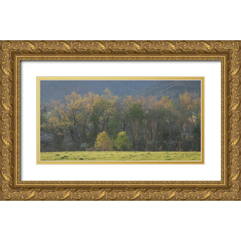 Tree Line Gold Ornate Wood Framed Art Print with Double Matting by Head, Danny