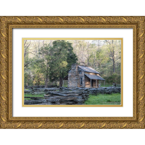 The Cabin II Gold Ornate Wood Framed Art Print with Double Matting by Head, Danny