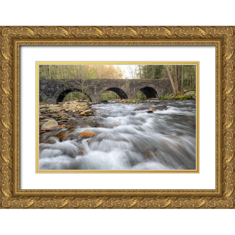 Stone Bridge Gold Ornate Wood Framed Art Print with Double Matting by Head, Danny
