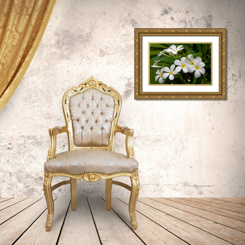 Plumeria I Gold Ornate Wood Framed Art Print with Double Matting by Head, Danny
