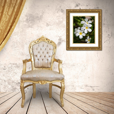 Plumeria II Gold Ornate Wood Framed Art Print with Double Matting by Head, Danny