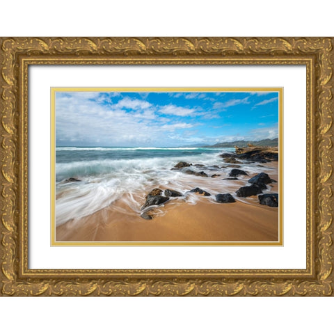 Silky Retreat Gold Ornate Wood Framed Art Print with Double Matting by Head, Danny