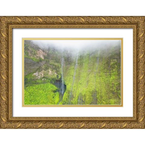 Water Ribbons III Gold Ornate Wood Framed Art Print with Double Matting by Head, Danny