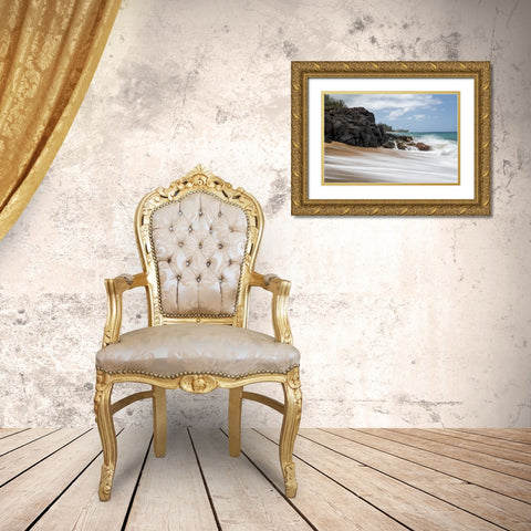 Silky Surf I Gold Ornate Wood Framed Art Print with Double Matting by Head, Danny
