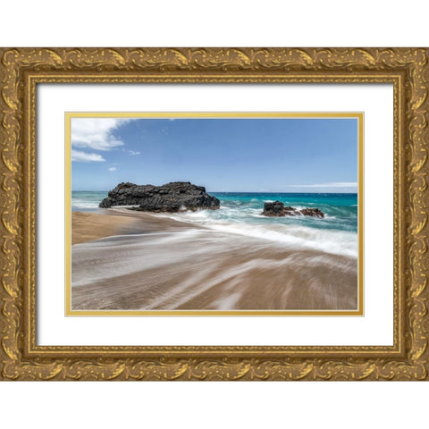 Silky Surf II Gold Ornate Wood Framed Art Print with Double Matting by Head, Danny